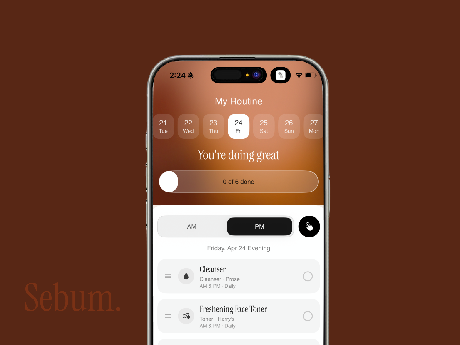 Sebum routine checklist